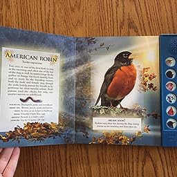 The Little Book Of Garden Bird Songs